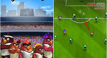 Angry birds: goal!