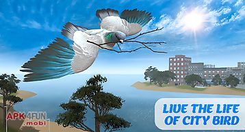 Flying bird pigeon simulator