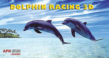 Dolphin racing 3d