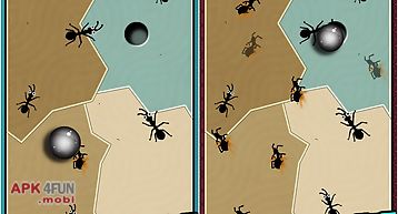 Ant vs ball