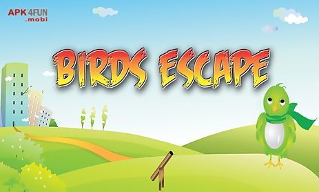 birds escape