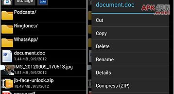 Sd file manager