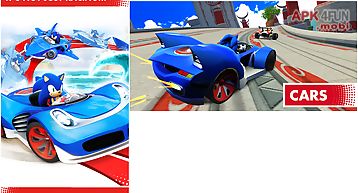 Sonic racing transformed