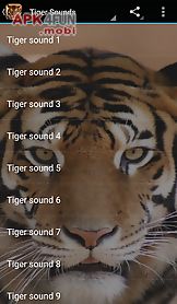 tiger sounds