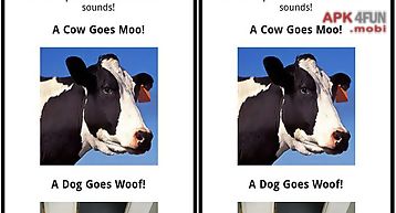 A cow goes moo