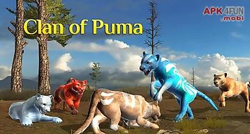Clan of puma