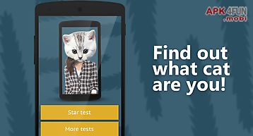 Face scanner: what cat 2