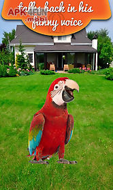 real talking parrot