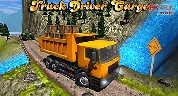 Truck driver cargo