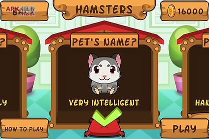 my virtual hamster - cute pet