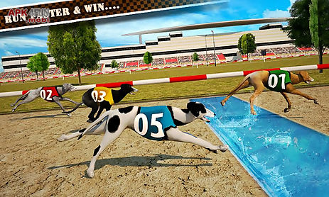 dog race & stunts 2016