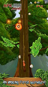 nuts!: infinite forest run