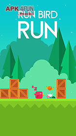 run bird run