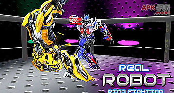 Real robot ring fighting