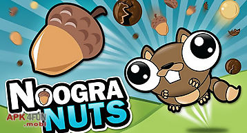 Noogra nuts - the squirrel