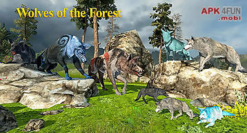 Wolves of the forest