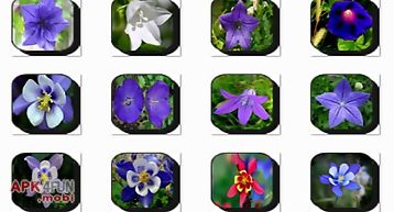 Bell flowers onet classic game