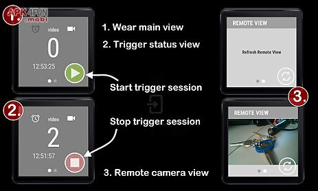 camera trigger (motion detect)