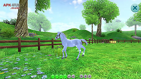 star stable horses