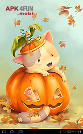 pumpkin kitten wallpaper free