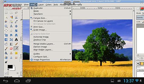 xgimp image editor