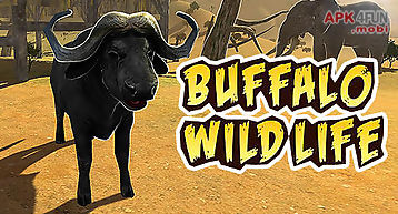 Buffalo sim: bull wild life