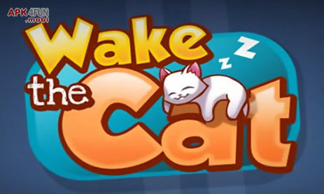 wake the cat