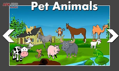 animal world game for kids