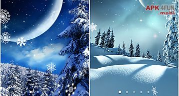 Winter night wallpaper