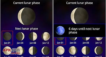 Cool moon - lunar calendar