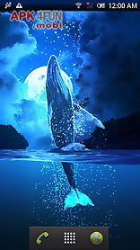 whale moon trial