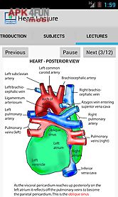 anatomy heart lecture