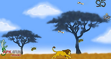 Lion, the king of wild savanna