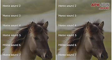 Horse sounds