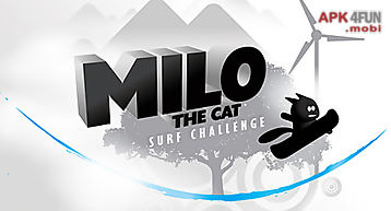 Milo the cat: surf challenge