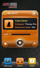 brainwaves-the unexplainable store®
