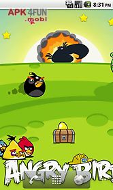 angry birds live wp - free