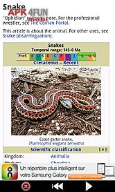 snakes : dangerous wild animals