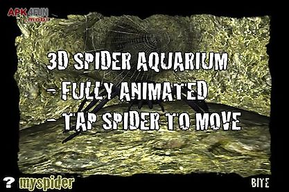 spider aquarium in 3d