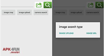 Image search for google