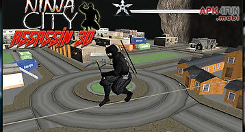 City ninja assassin warrior 3d