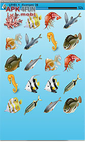 fish memory game free