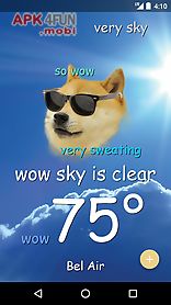 weather doge