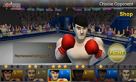 super boxing: cityfighter