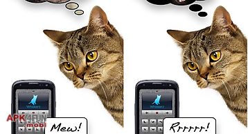 Human-to-cat translator