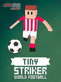 tiny striker: world football