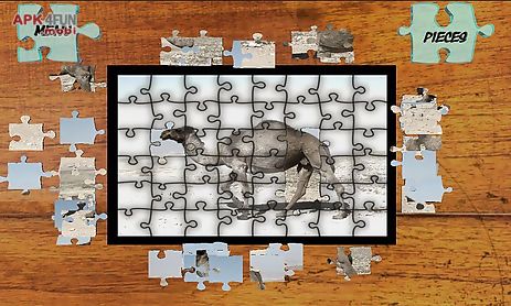 jigsaw puzzles animals world
