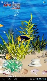 aquarium wallpaper