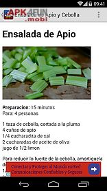 recetas chilenas 2.0