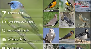 Audubon birds of north america
